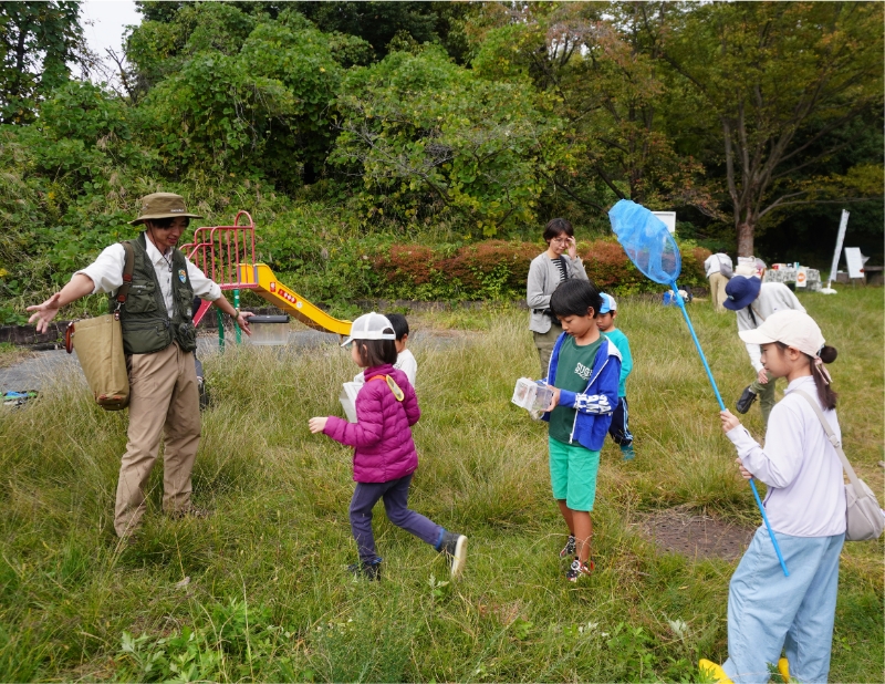 虫取りして、いきもの観察！