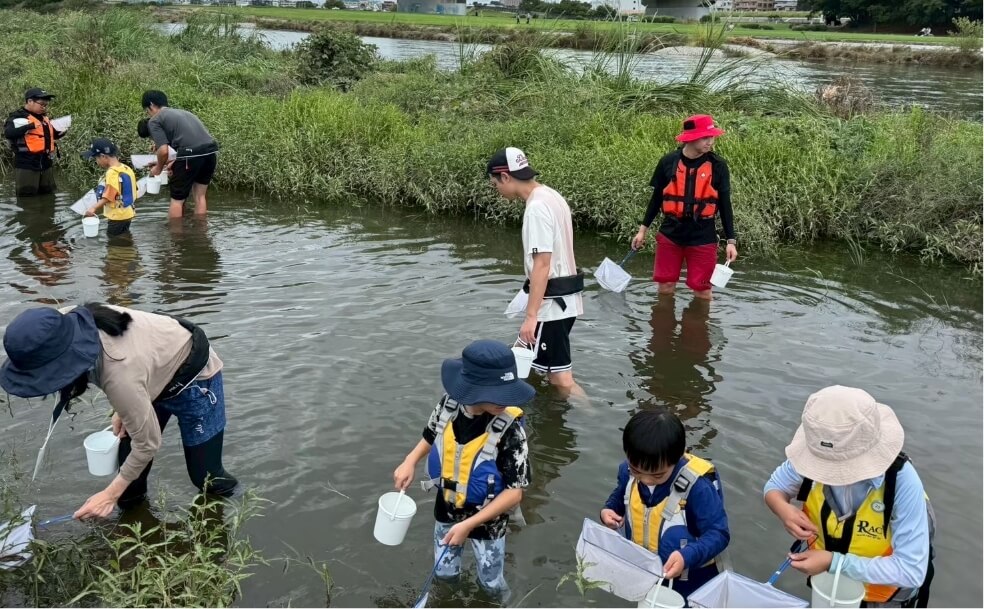 水辺のいきものがたくさん…！