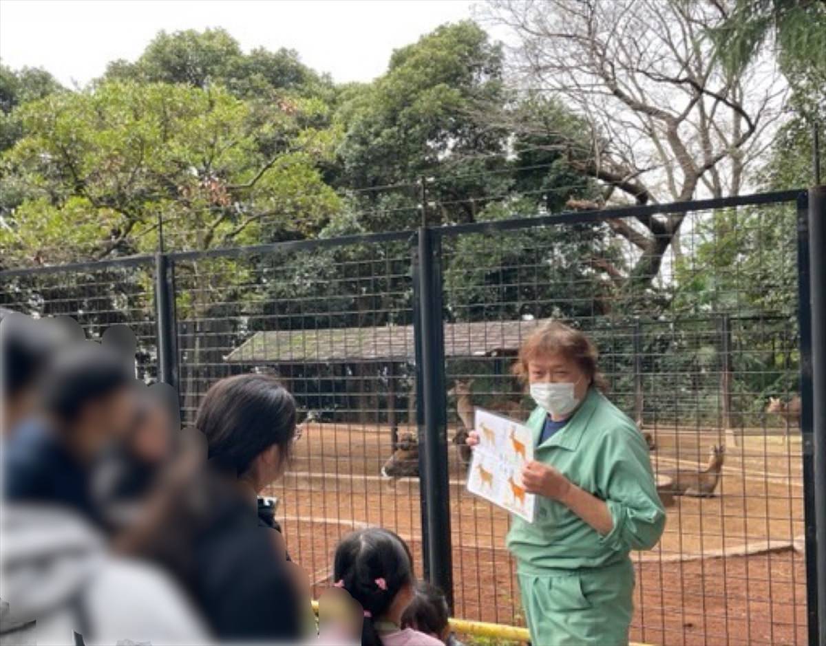夢見ヶ崎動物公園
