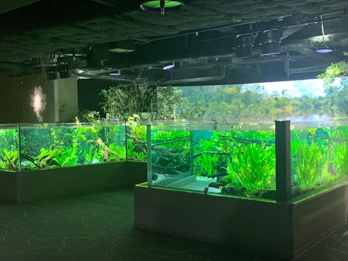 カワスイ 川崎水族館