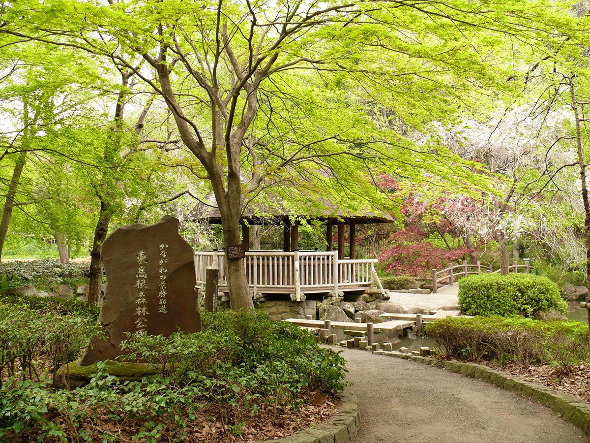 県立東高根森林公園