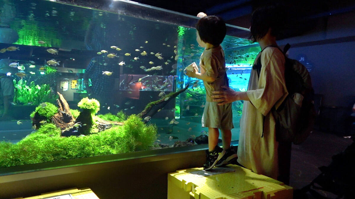 カワスイ 川崎水族館