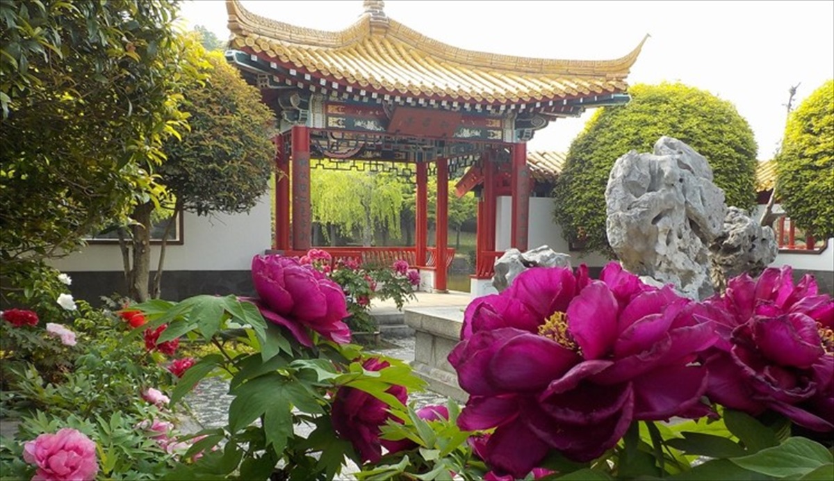 大師公園