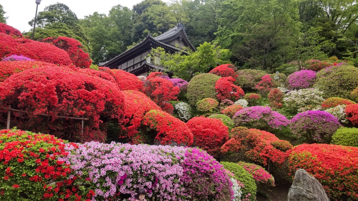 圧巻の等覚院