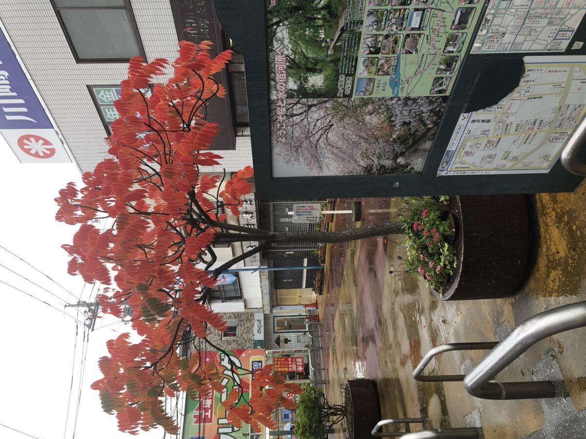 駅前でのお出迎え