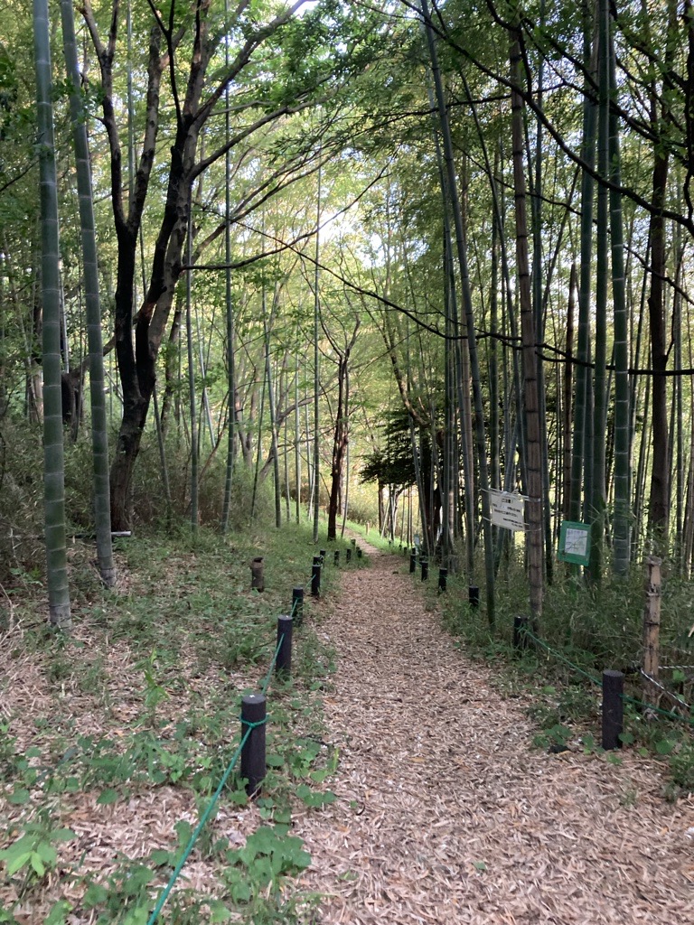 日向山