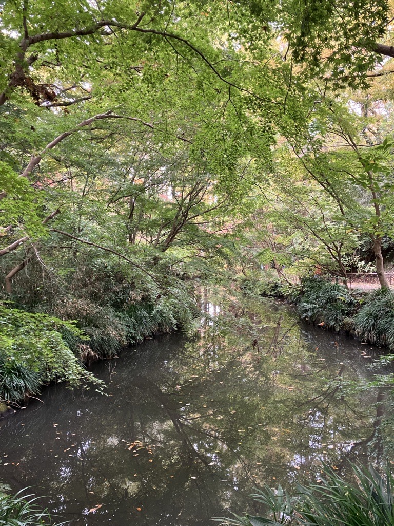 奥の池（生田緑地）