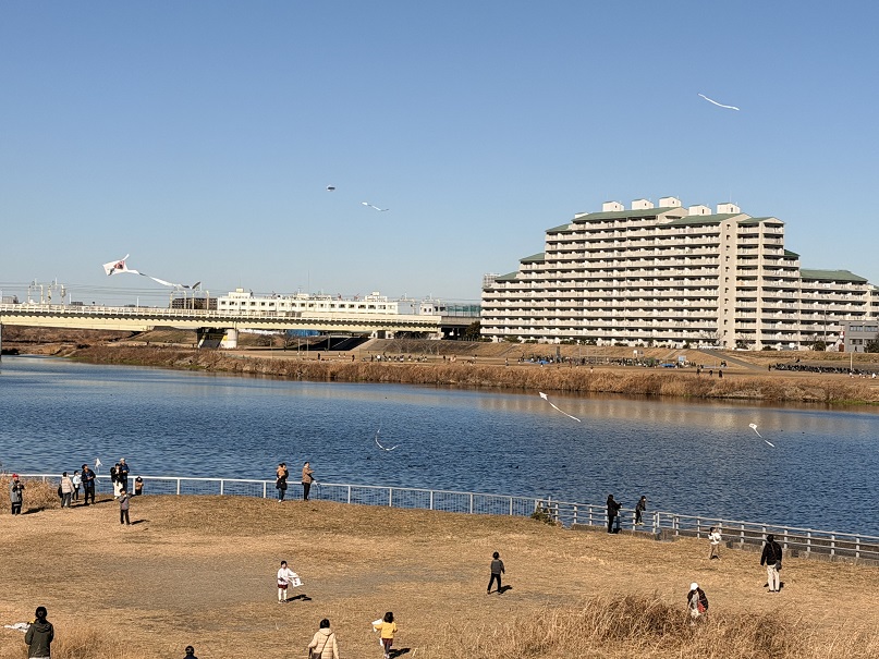 河原の凧揚げ（多摩川）