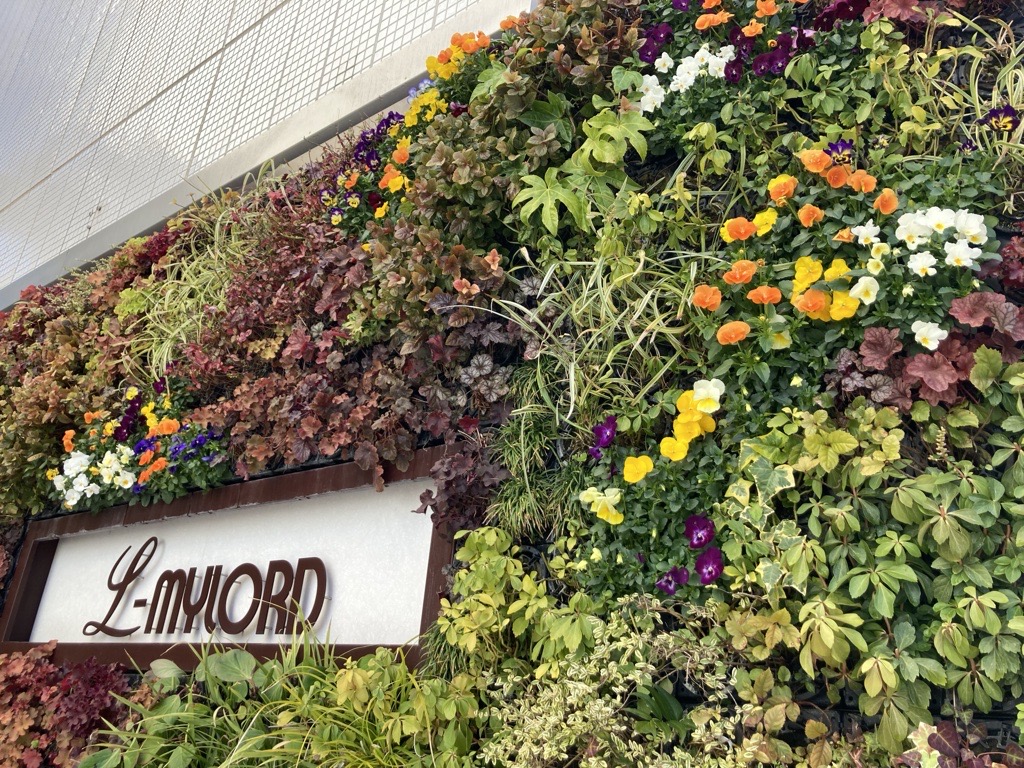 駅前近くの壁の花