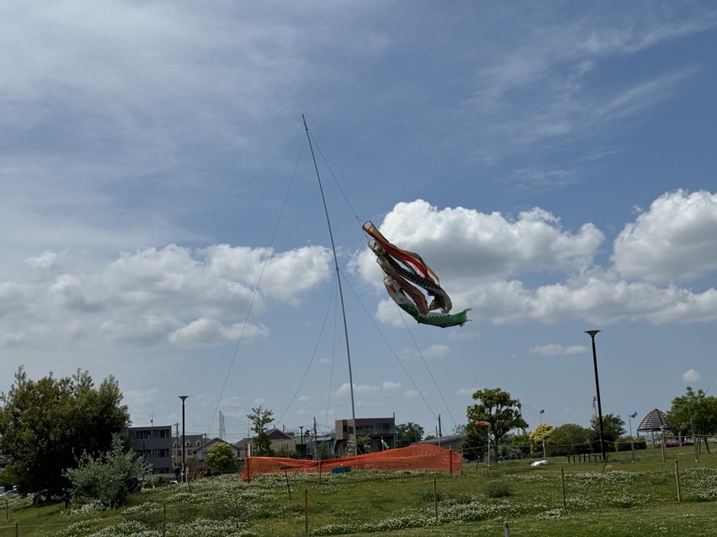 殿町のこいのぼり
