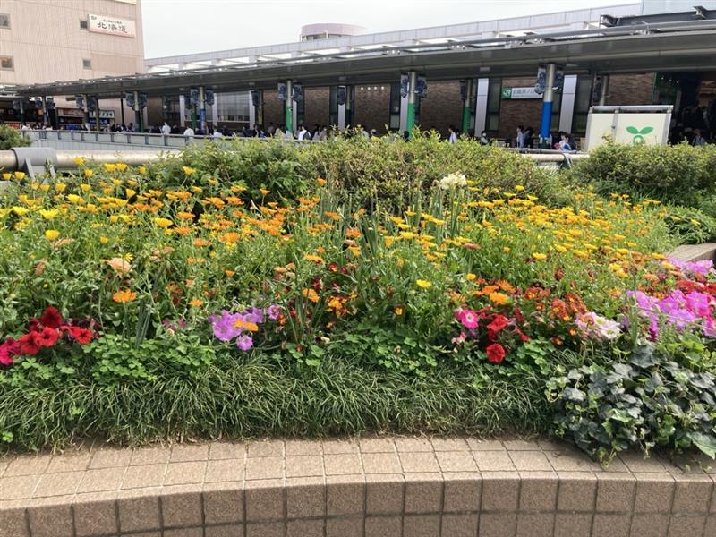 溝の口の乗り換えのときに見れるもの