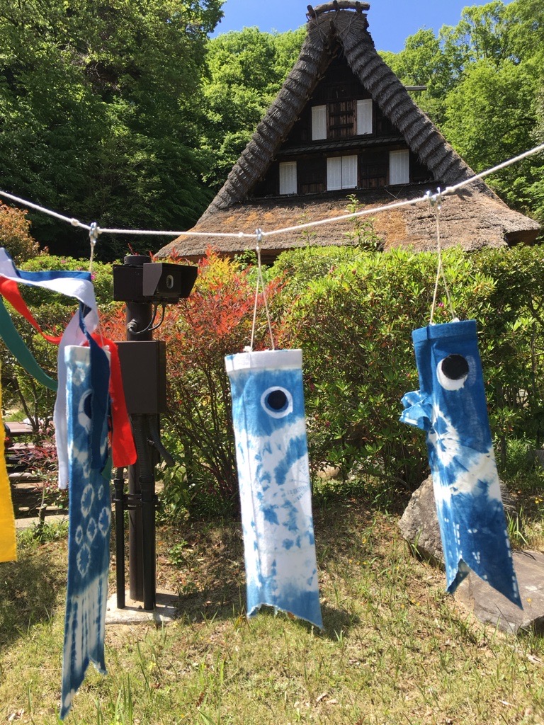 藍染の鯉のぼり