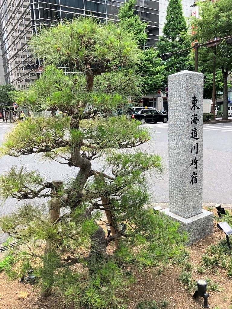 歴史を感じる一本