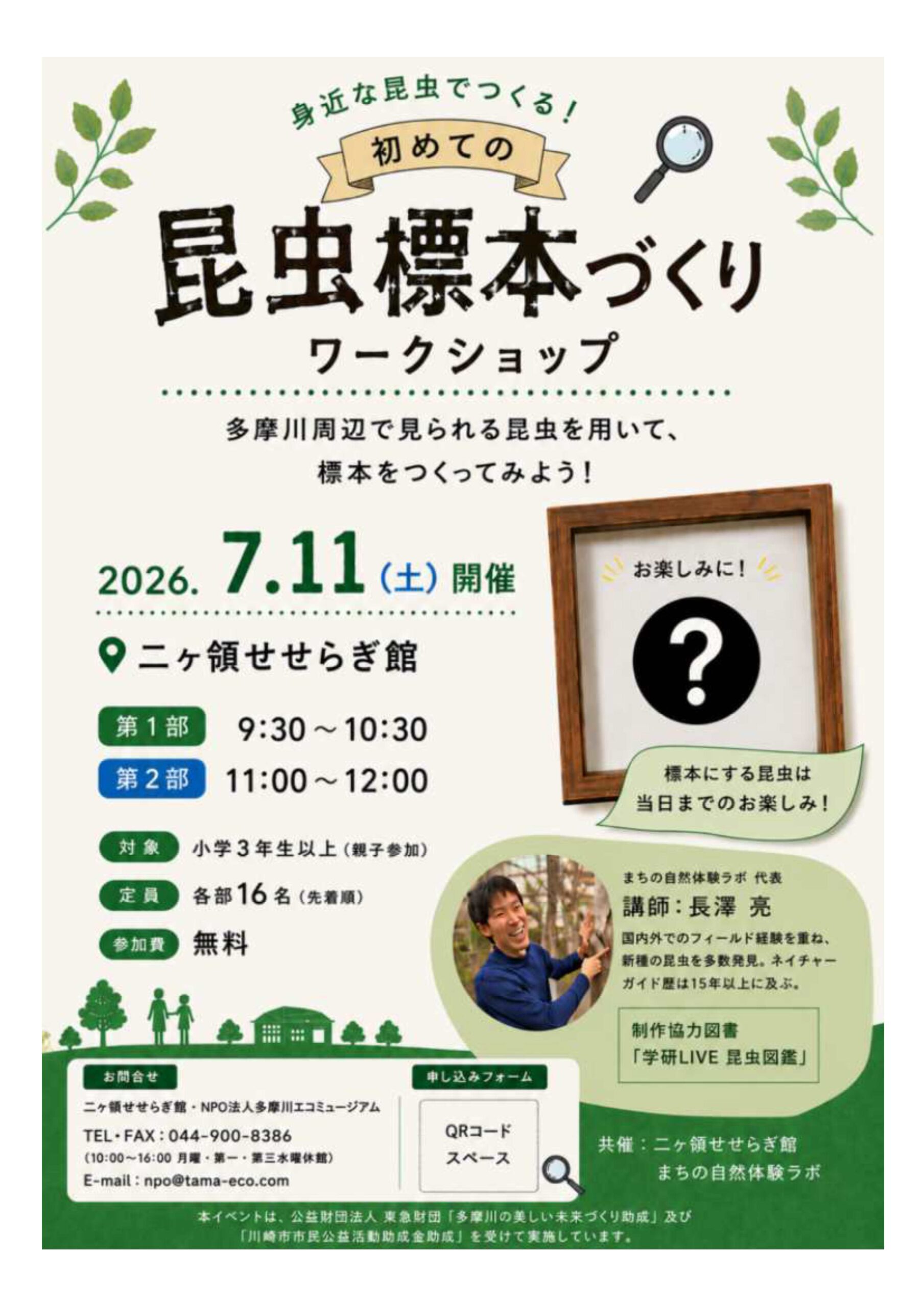 昆虫標本づくり（二ヶ領せせらぎ館）｜2026年ｰ川崎市多摩区