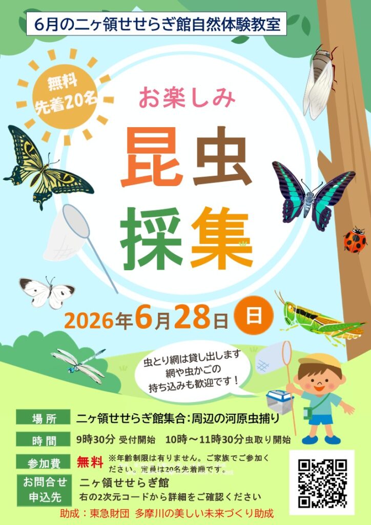 多摩川河川敷で昆虫採集をしよう！（二ヶ領せせらぎ館）｜2026年ｰ川崎市多摩区