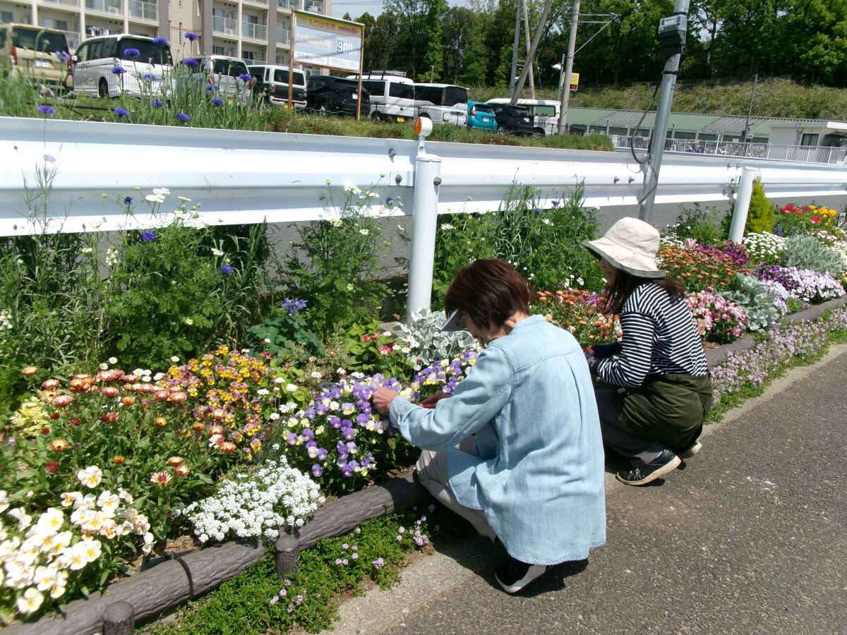 エコガーデンはるひ野【駅前に見つけたパラダイスガーデン】～はなまちガーデンリポート～