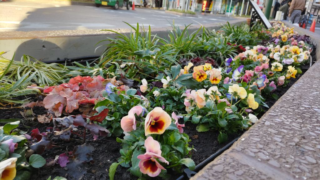 向ヶ丘遊園駅南口花壇の植えたいお花など募集中！｜2026年ｰ川崎市多摩区