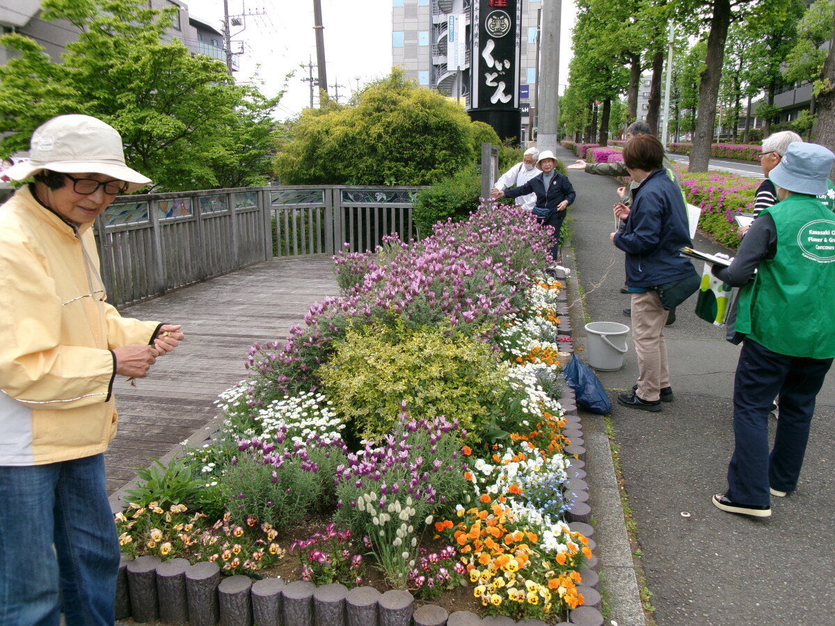 吹込クローバーの会【対話が聞こえる花の交差点】～はなまちガーデンリポート～