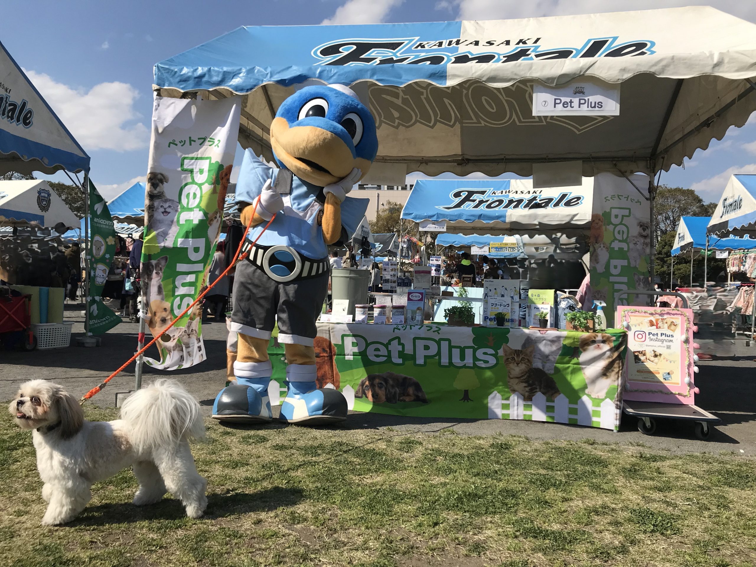 「ペットプラスpresentsワンだふるフロンターレ」開催（富士見公園）｜2026年ｰ川崎市川崎区