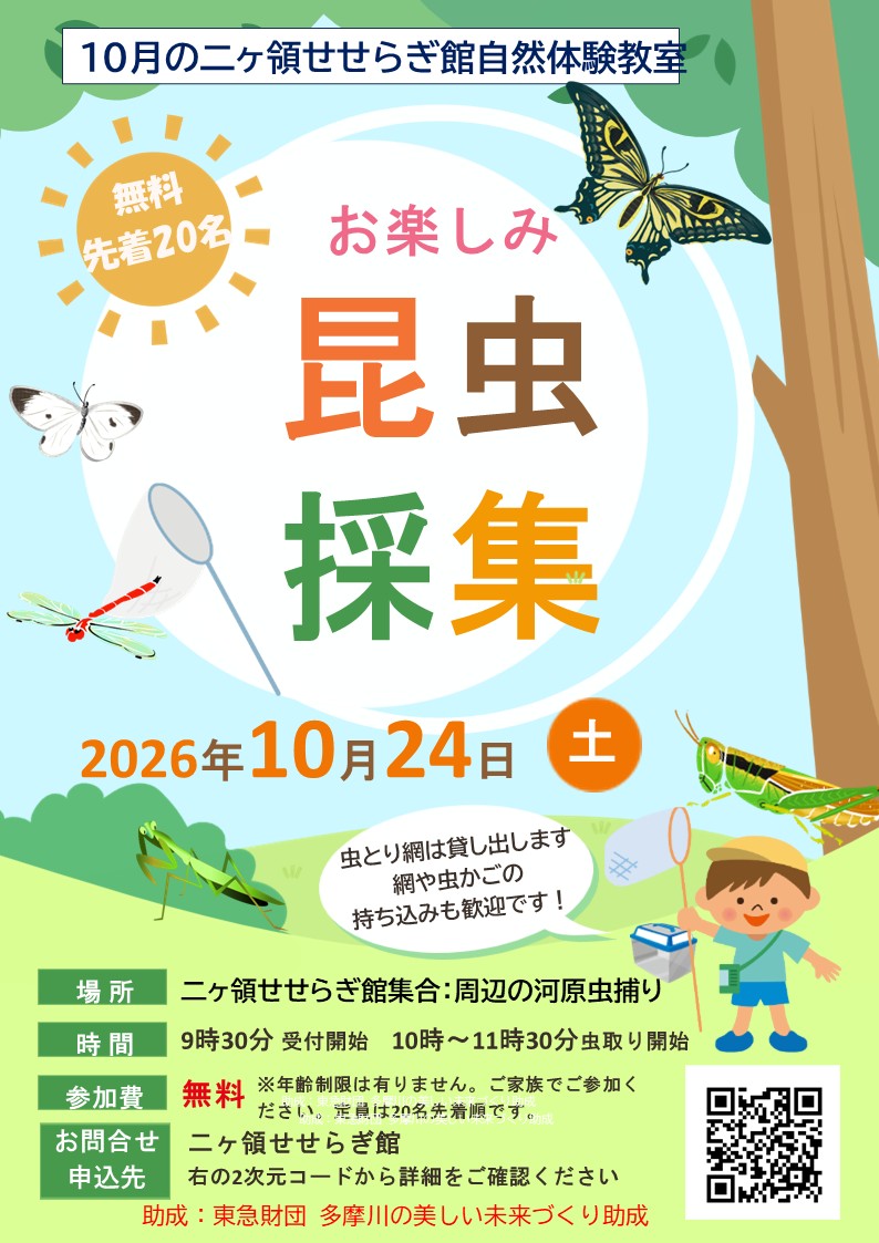 二ヶ領せせらぎ館 自然体験教室 昆虫採集｜2026年－川崎市多摩区